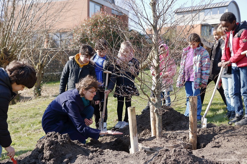 Wethouder Maud Hulshof en leerlingen bij net geplante boom
