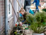 Initiateifnemer Judith Zomer legt samen met haar buren geveltuintjes aan op de Van Uvenweg