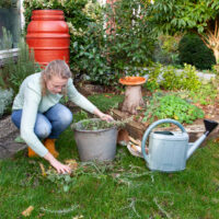 Vrouw onderhoud haar tuin