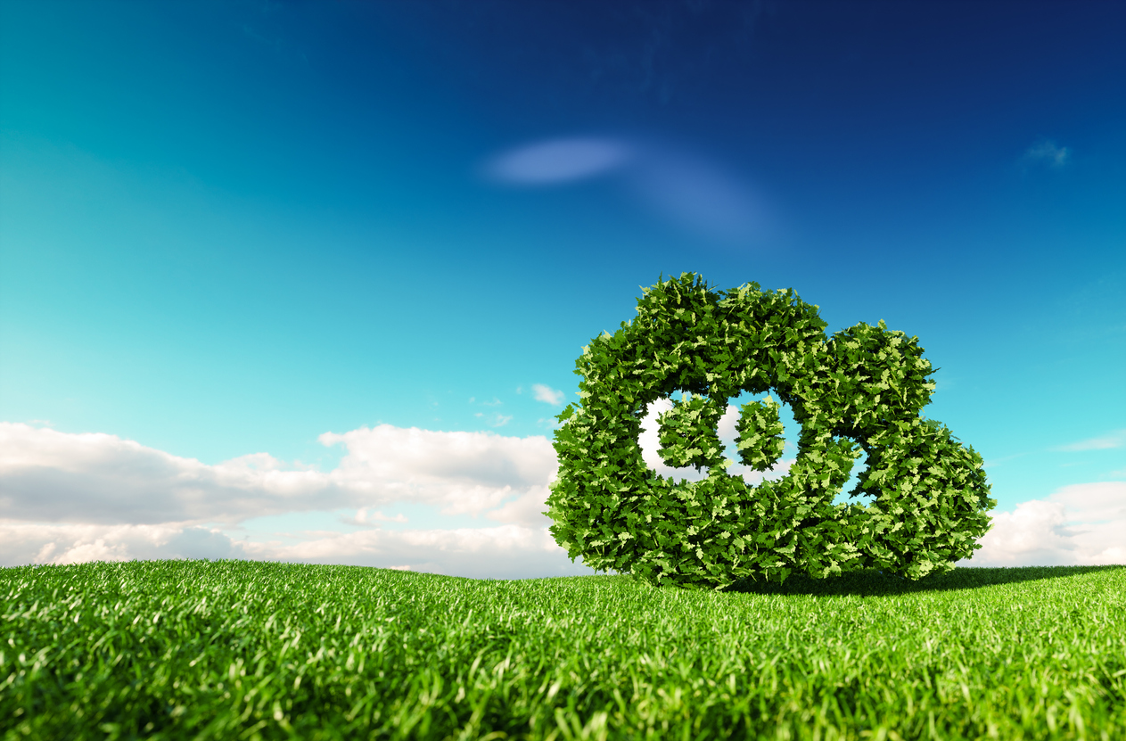 Enquête: klimaatneutraal worden met ‘koolstofboeren’